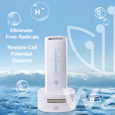 Good price オーダーメイド 水素酸素吸入発電機 水素と酸素機械 18ワット オンライン