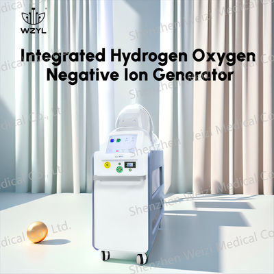 Good price 7L/min 臨床 陰性イオン 水素酸素インハラー 1000W 血液循環を改善します オンライン