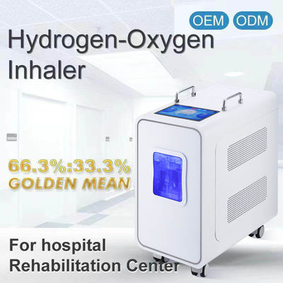 Good price 110v 220v ホーム PEM 水素吸入療法機 3000ml オンライン
