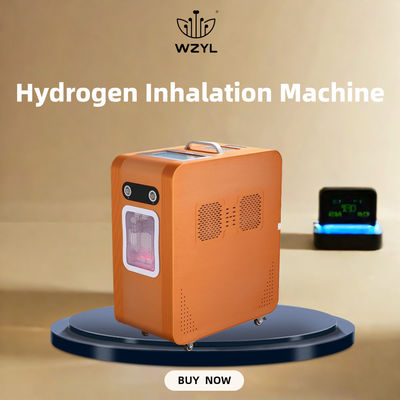Good price AC220V 水素酸素インハラー 水素インハラ機 3000ml/M オンライン
