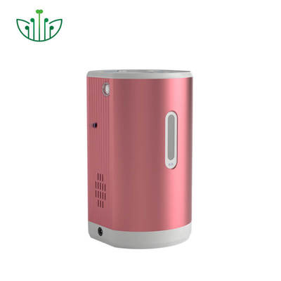 Good price 99.9%純水素 150ml/分出力 ポータブル水素吸入器（75ml/分酸素供給による療法用） オンライン